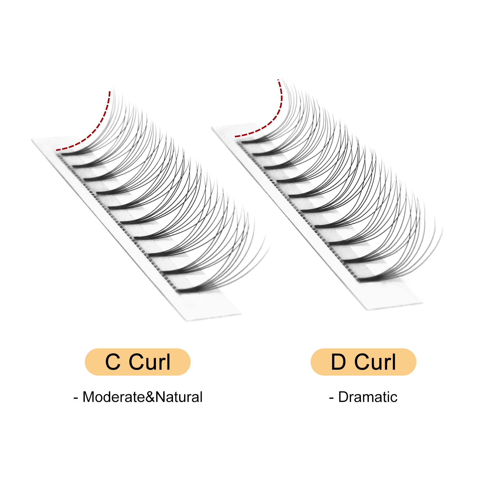 Quewel Premade Fans Lashes 8D/ - Eyelash Extension C Curl 评论和价格