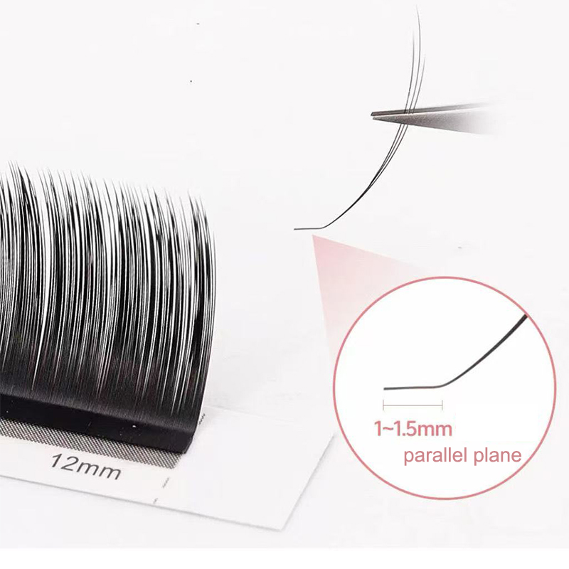 dream ballet Camellia Lashes w - Eyelash Extension C Curl 评论和价格